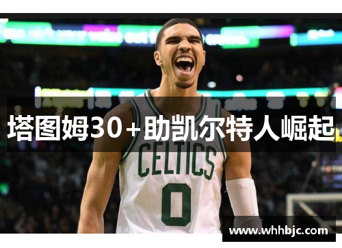 塔图姆30+助凯尔特人崛起