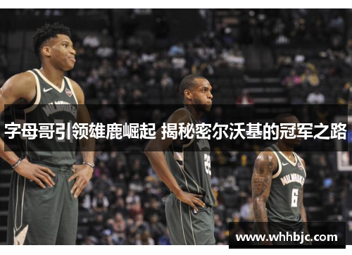 字母哥引领雄鹿崛起 揭秘密尔沃基的冠军之路